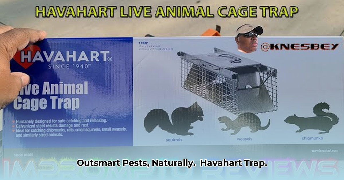 havahart-trap-tractor-supply